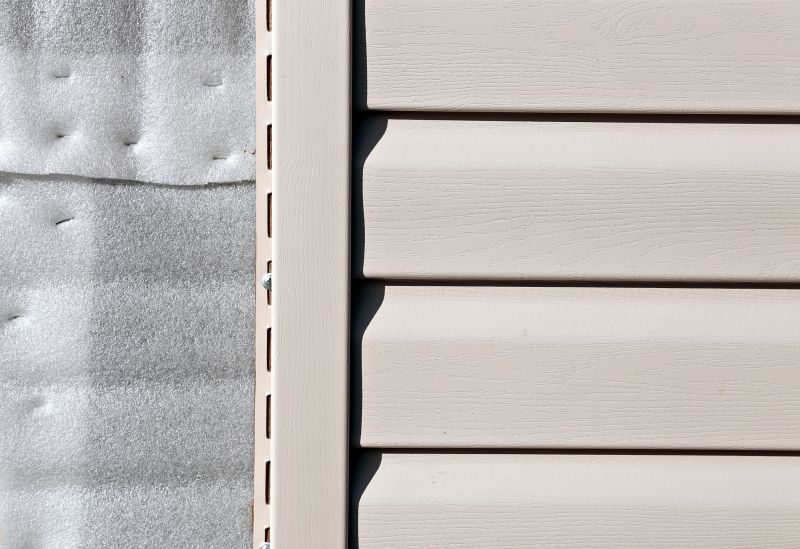 Pvc Siding Installation in Green Cove Springs, FL